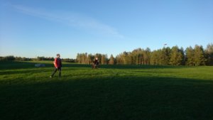 Frisbee Golf in Siltamäki